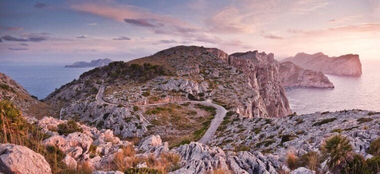 Mallorca: Discover Paradise: Formentor and Playa De Muro - Customer Feedback