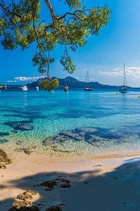 Mallorca: Discover Paradise: Formentor and Playa De Muro - Good To Know