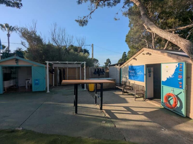 Mallorca: Discover Scuba Diving Experience - What to Expect from the Mallorca Discover Scuba Diving Tour