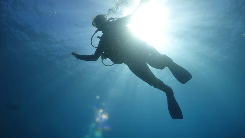 Mallorca: Discover Scuba Diving from the boat - Who Should Consider This Tour?