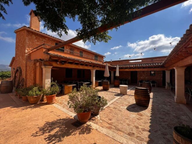 Mallorca: Discover the Secret Treasures of the Local Wine - Customer Reviews