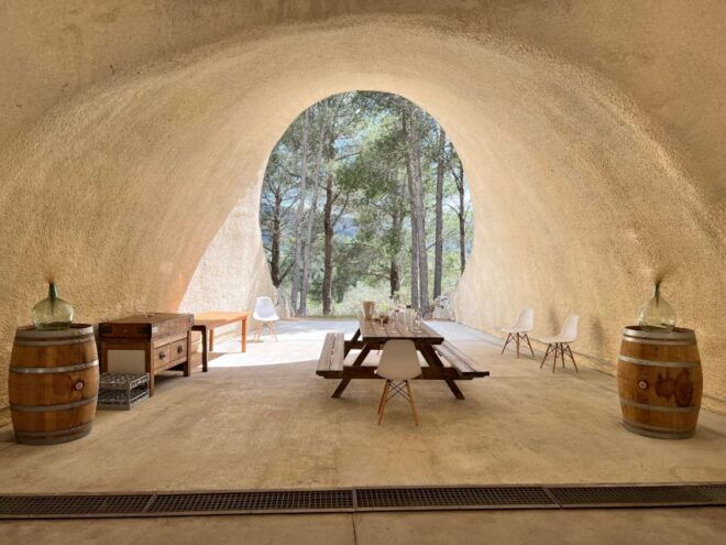 Mallorca: Discover the Secret Treasures of the Local Wine - Explore Binissalems Vineyards