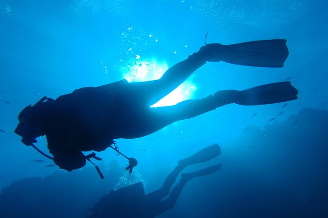 Mallorca: Diving Experience for Non-Divers - Start and End Details