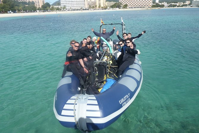 Mallorca: Diving Experience for Non-Divers - Pricing and Terms