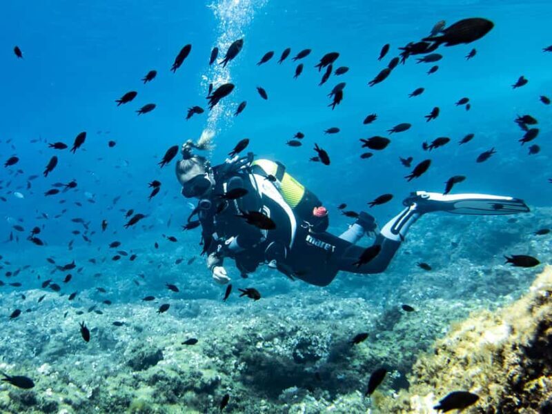 Mallorca: Diving without a license with an instructor from a boat - Cap de Formentor - An In-Depth Look at the Mallorca Snorkeling & Diving Tour