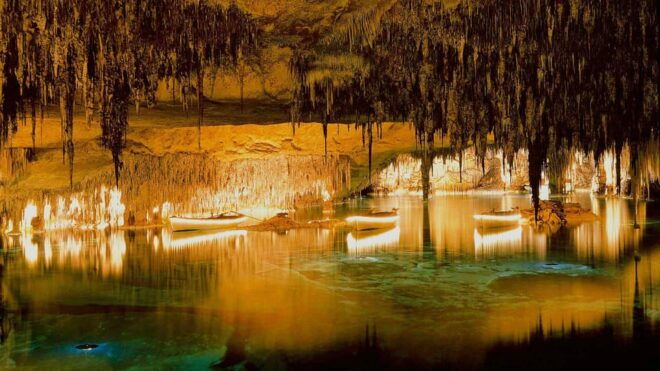 Mallorca: Drach and Hams Caves, and Porto Cristo Day Tour - Customer Reviews and Ratings