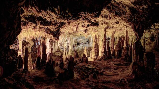 Mallorca: Drach Caves, Lake Martel, & Pearl Factory Day Trip - Customer Reviews and Feedback
