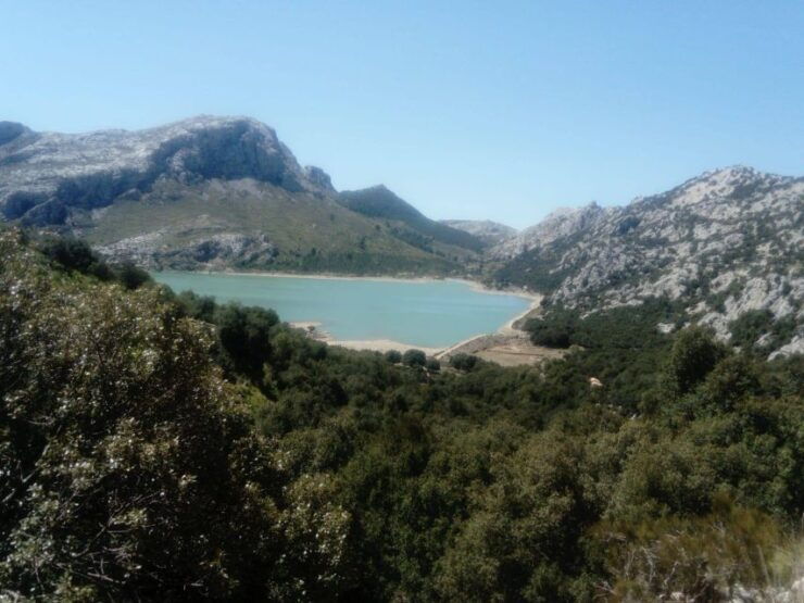 Mallorca: E-Bike or Mountain Bike Rental - 3 Model Options - Model Options for Mountain Bike Rentals