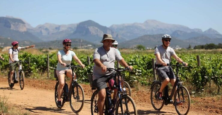 Mallorca: E-Bike Tour With Wine Tasting - GERMAN GUIDE - Good To Know