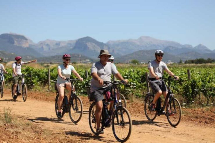 Mallorca: E-Bike Tour With Wine Tasting - GERMAN GUIDE - Highlights of the Experience