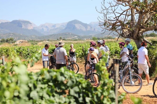 Mallorca: E-Bike Tour With Wine Tasting - GERMAN GUIDE - Important Considerations