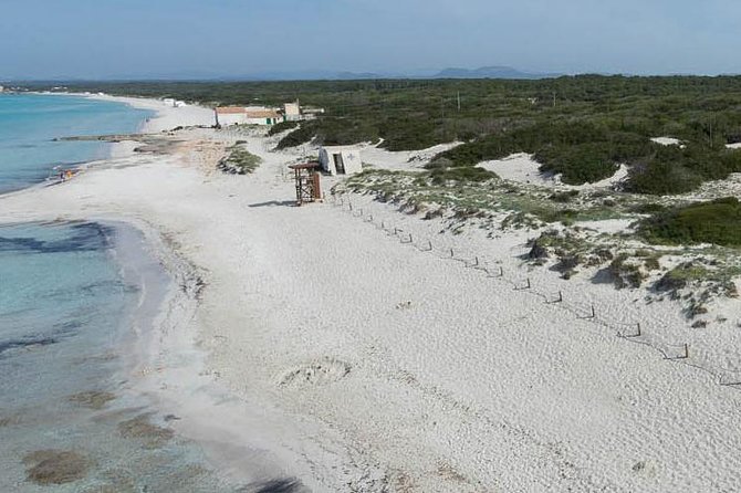 Mallorca Es Trenc Beach Day Tour With Hotel Pick up - Start Time and Duration