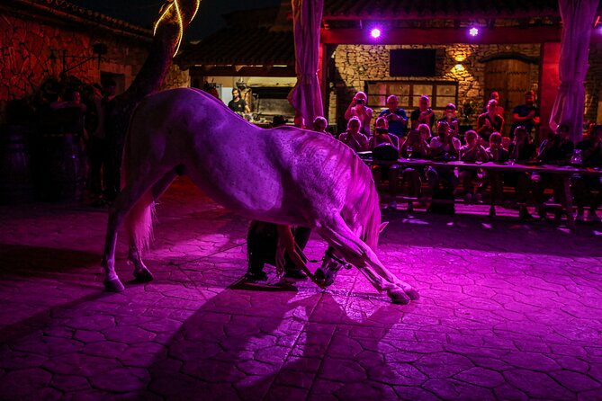 Mallorca Evening Tour: Horseback Riding, Dinner and Dance - Traveler Photos and Reviews
