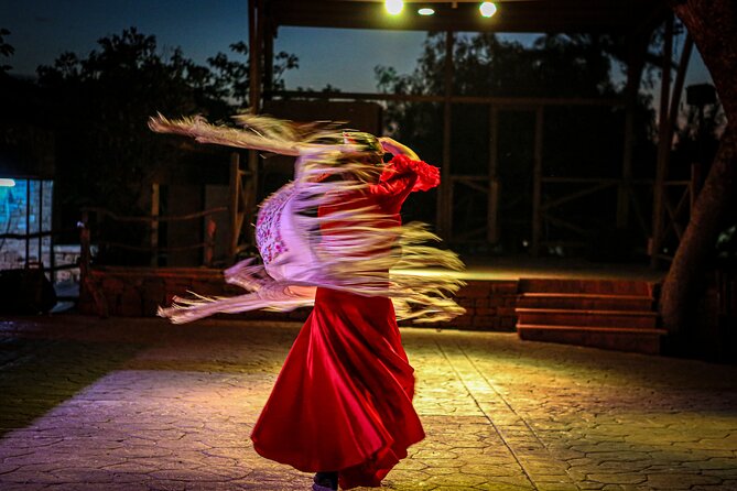 Mallorca Evening Tour: Horseback Riding, Dinner and Dance - Traveler Experiences