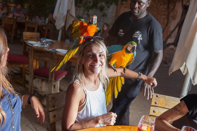 Mallorca Evening Tour: Horseback Riding, Dinner and Dance - The Sum Up