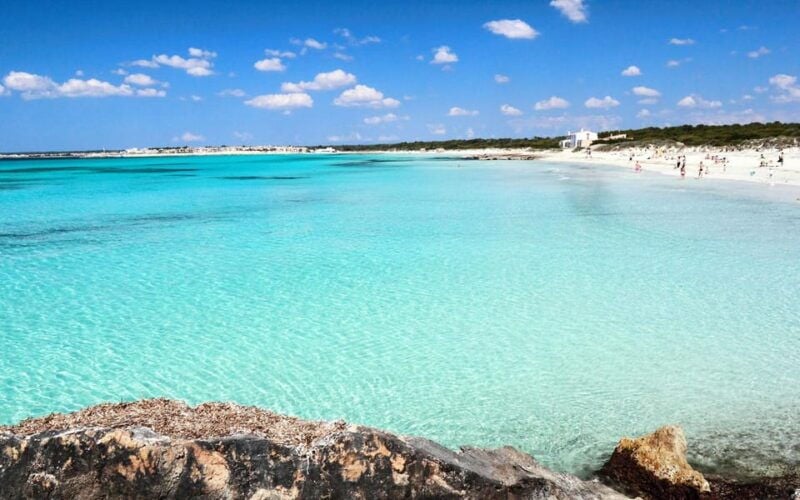 Mallorca Experience: Es Trenc With Paddlesurfing and Snorkeling - Good To Know