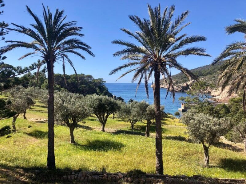 Mallorca: Explore the Island Dragonera With the Kayak - Good To Know