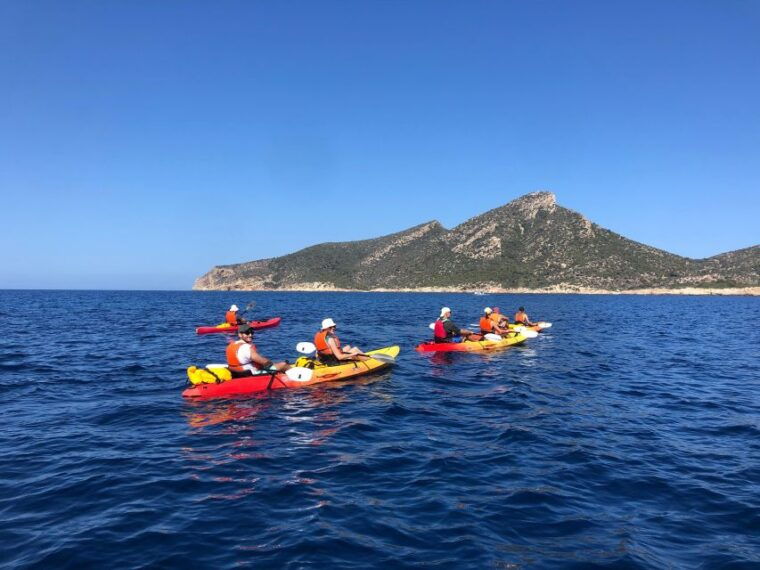 Mallorca: Explore the Island Dragonera With the Kayak - The Dragonera Museum: Unveiling the Islands History