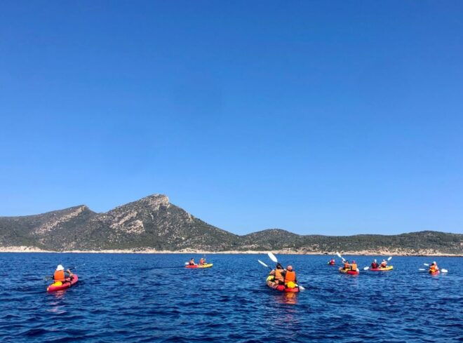 Mallorca: Explore the Island Dragonera With the Kayak - Restrictions and Cancellation Policy