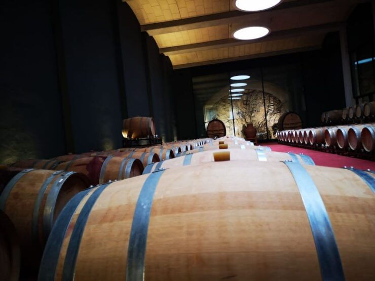 Mallorca: Full-Day Winery Small Group Tour - Tour Details