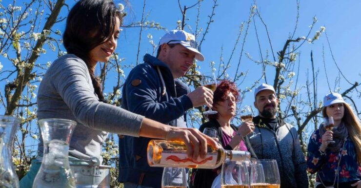 Mallorca: Full-Day Winery Small Group Tour - Experience Highlights