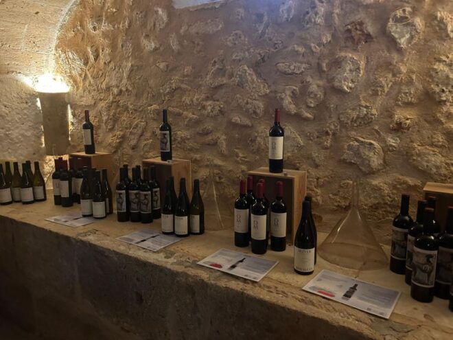 Mallorca: Full-Day Winery Tour With a Sommelier - Tour Highlights