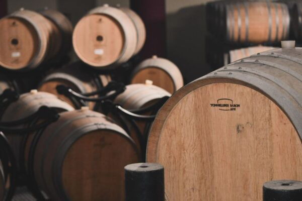 Mallorca: Full-Day Winery Tour With a Sommelier - Inclusions and Exclusions