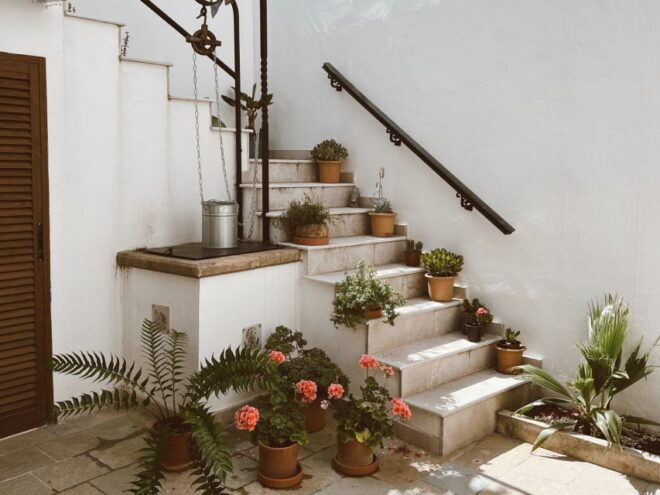 Mallorca: Gastronomic Wine Tasting & Local Delicacies - Description of the Experience