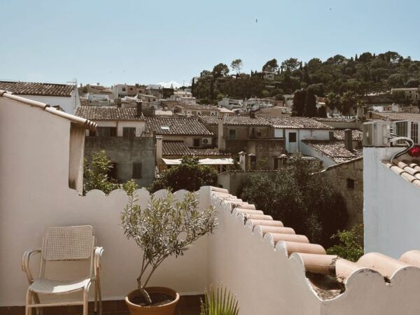 Mallorca: Gastronomic Wine Tasting & Local Delicacies - The Sum Up