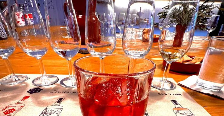 Mallorca Gin Tasting - Good To Know