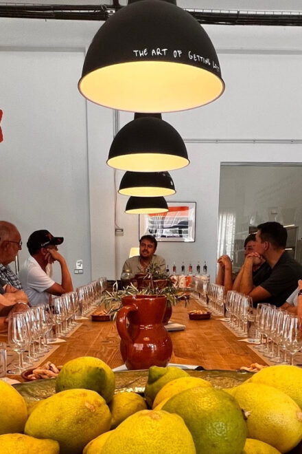 Mallorca Gin Tasting - Gin Tasting Experience