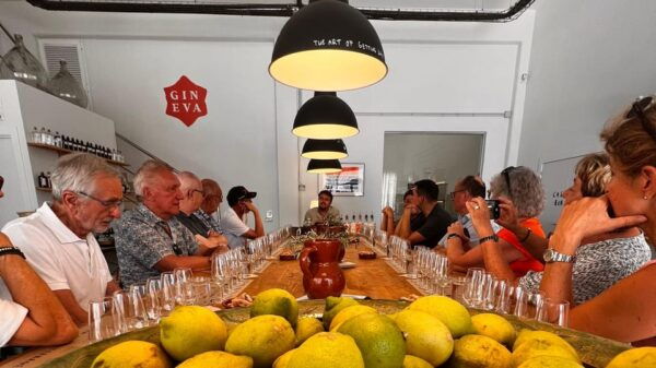 Mallorca Gin Tasting - Frequently Asked Questions