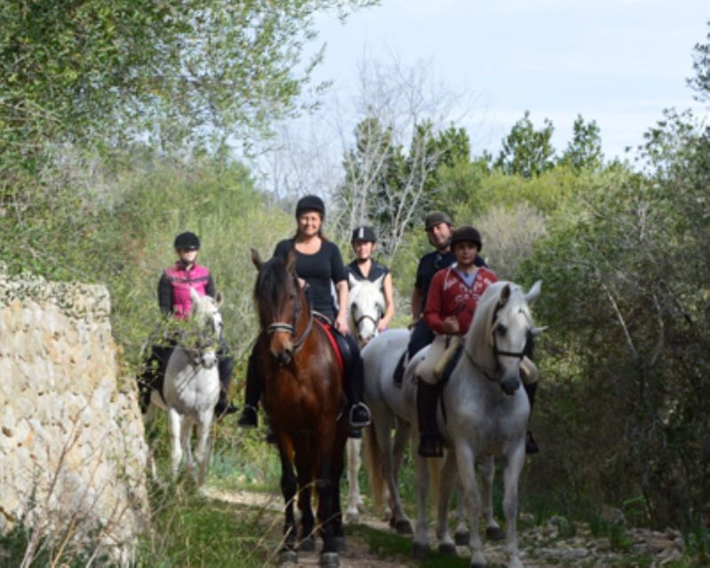Mallorca: Guided Horseriding Tour of Randa Valley - Good To Know