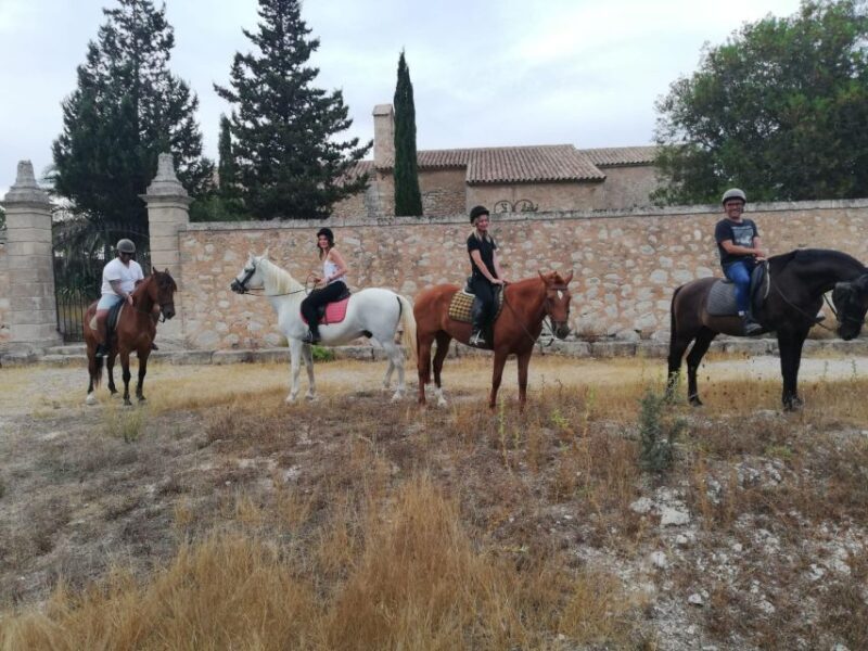 Mallorca: Guided Horseriding Tour of Randa Valley - Discover Mallorca’s Natural Beauty on Horseback