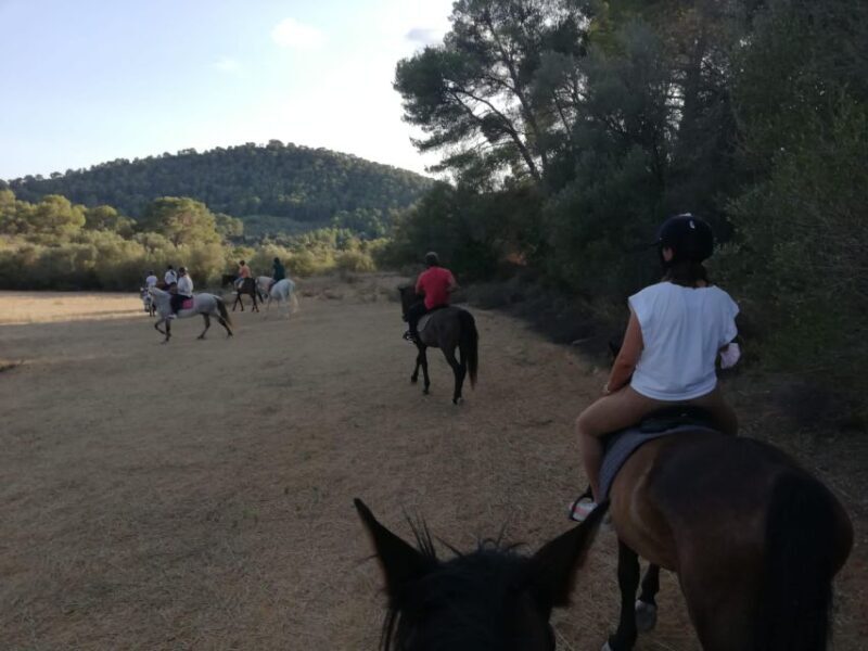 Mallorca: Guided Horseriding Tour of Randa Valley - Value and Pricing: Is It Worth It?