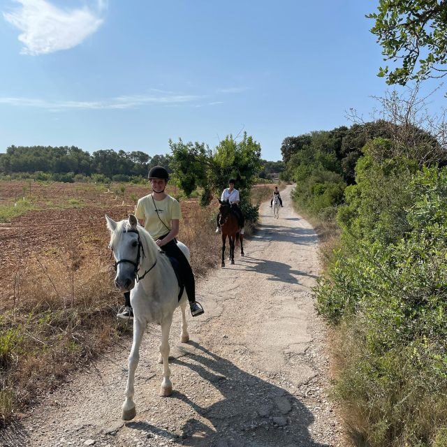 Mallorca: Guided Horseriding Tour of Randa Valley - Practical Details and Tips