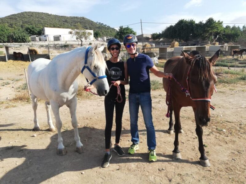 Mallorca: Guided Horseriding Tour of Randa Valley - Who Should Consider This Tour?