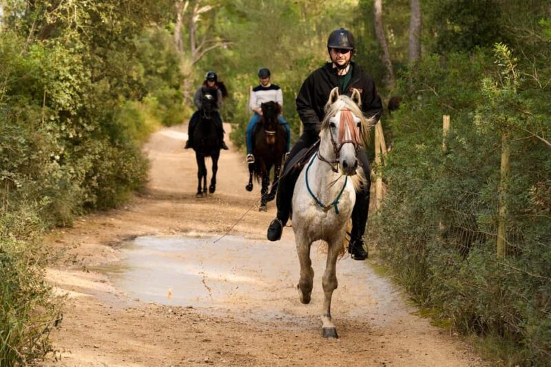 Mallorca: Guided Horseriding Tour of Randa Valley - FAQ