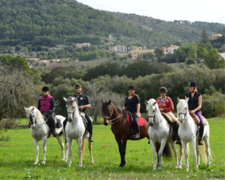 Mallorca: Guided Horseriding Tour of Randa Valley - Activity Details