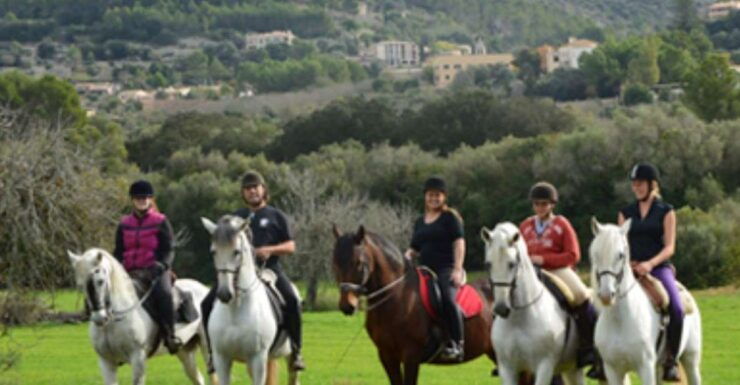 Mallorca: Guided Horseriding Tour of Randa Valley - Experience