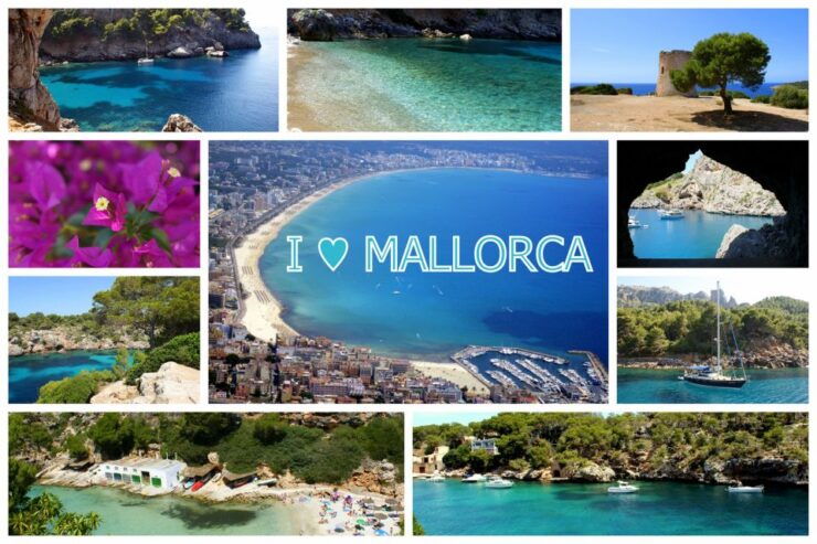 Mallorca Highlights Tour: Palma City, Tapas, Bazaar, Beach - Activity Details