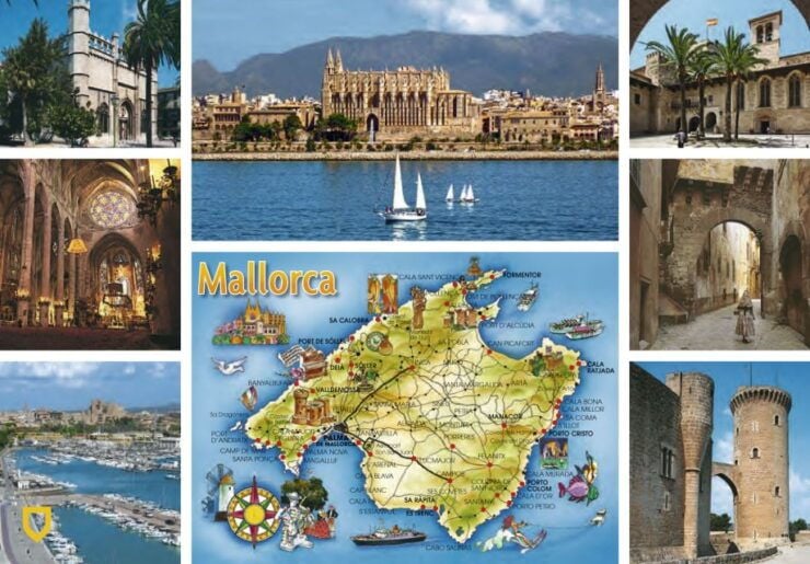 Mallorca Highlights Tour: Palma City, Tapas, Bazaar, Beach - Tour Experience