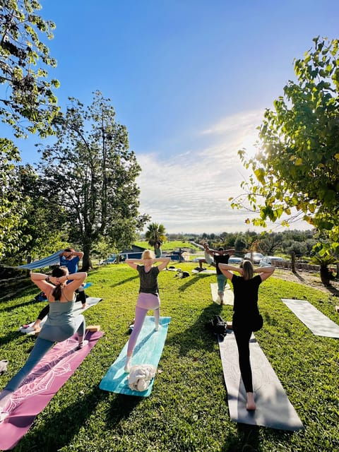 Mallorca: Holistic Private Yoga and Meditation Retreat - Focus on Holistic Well-being