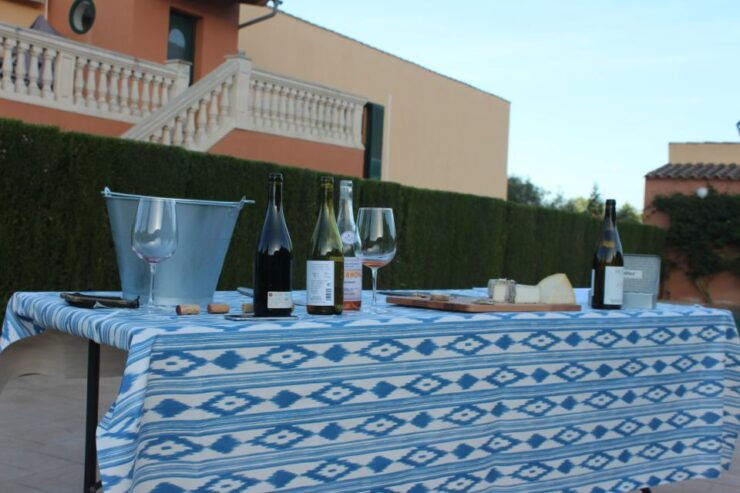 Mallorca: Horseback Riding Excursion and Wine Tasting - Experience Highlights