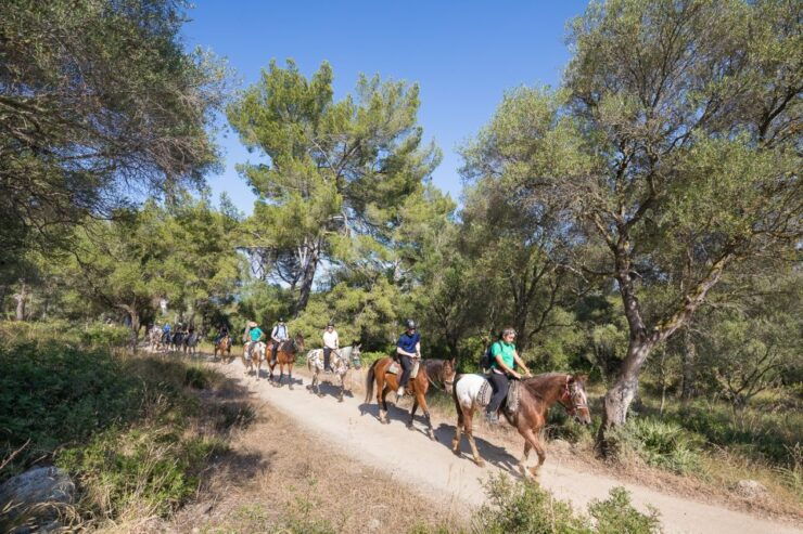 Mallorca: Horseback Riding Excursion and Wine Tasting - Customer Reviews