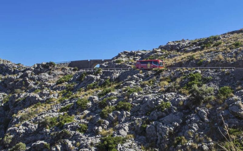 Mallorca Island Tour with Boat, Train, Tram and Bus - Discovering Mallorca: An In-Depth Review