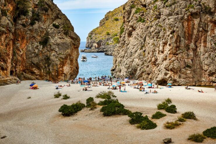Mallorca: Island Trip by Train, Tramway, and Boat - Experiencing Mallorcas Scenic Train Journey