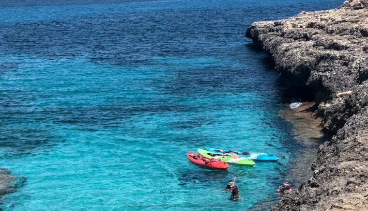 Mallorca: Kayak and Paddle Surf Excursion Through Crystal Clear Water Caves - Customer Experience and Reviews