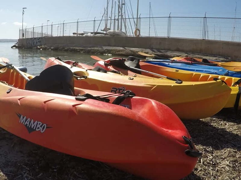 Mallorca: Kayak Rental - Swimming, Snorkeling, and Relaxation