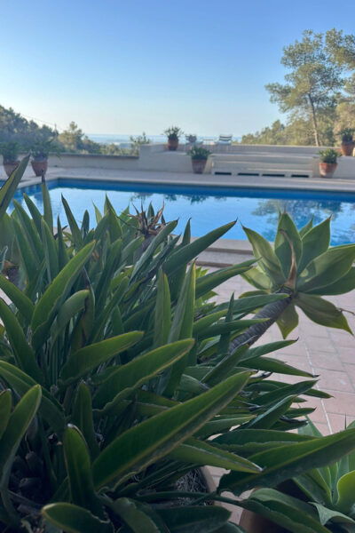 Mallorca: Magical Yoga Day Retreat - Impulse and Practice Sessions